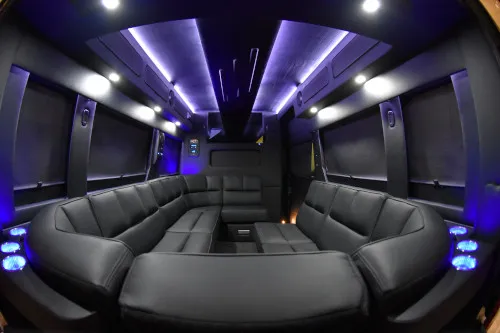 promaster_limo_small_feat1