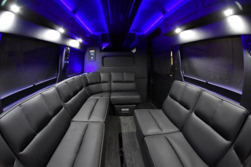 promaster_limo_small_feat2