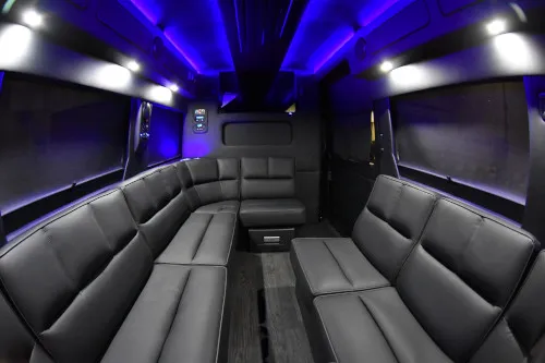 promaster_limo_small_feat2