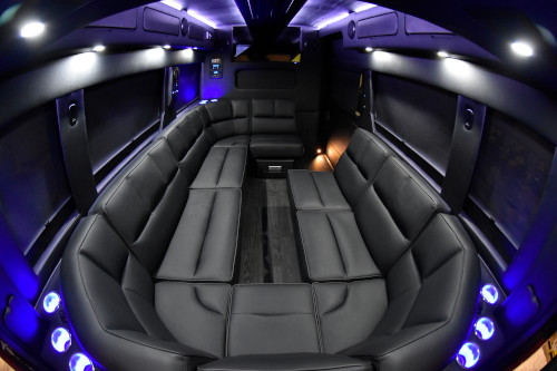 promaster_limo_small_feat4