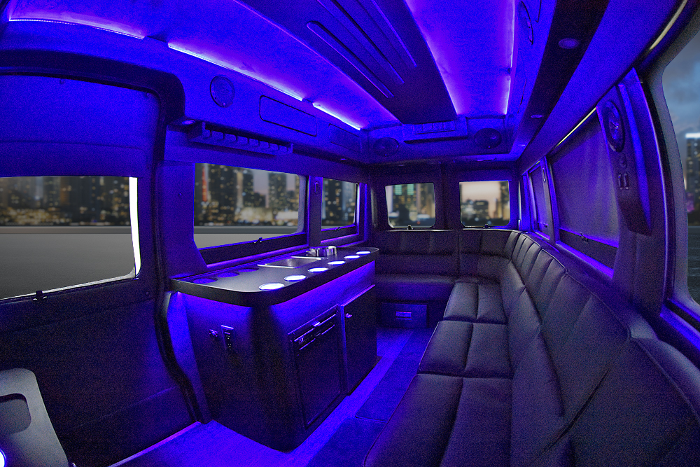 Limo Promaster 15Passenger - Waldoch